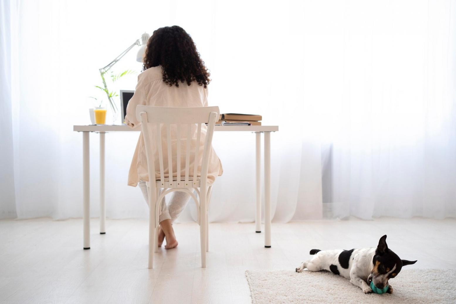 Modern office environment showing successful business operations and team collaboration